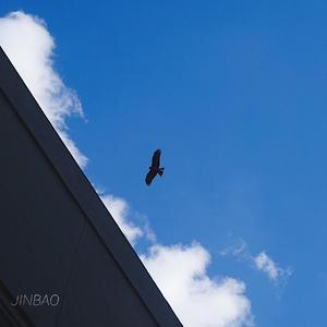 美女坐鸡巴视频
