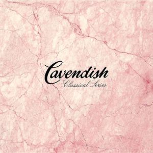 美女坐鸡巴视频
