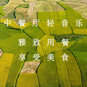 美女坐鸡巴视频
